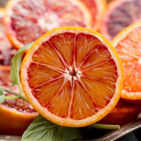Dampfbadduft WDT | Fruchtig | 5 Liter Sizilia Blutorange